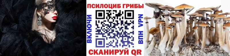 Галлюциногенные грибы мицелий  где найти наркотики  Сим 